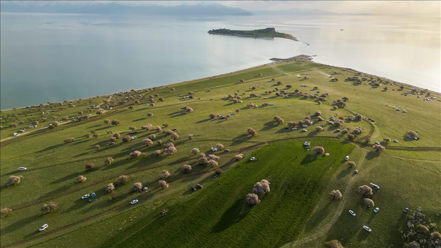 Çiçek açan ağaçlarla renklenen Çarpanak Yarımadası doğaseverlerin ilgisini çekiyor