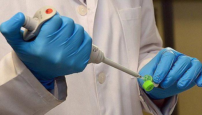 Nijerya’da Lassa ateşi nedeniyle hayatını kaybedenlerin sayısı 138’e çıktı