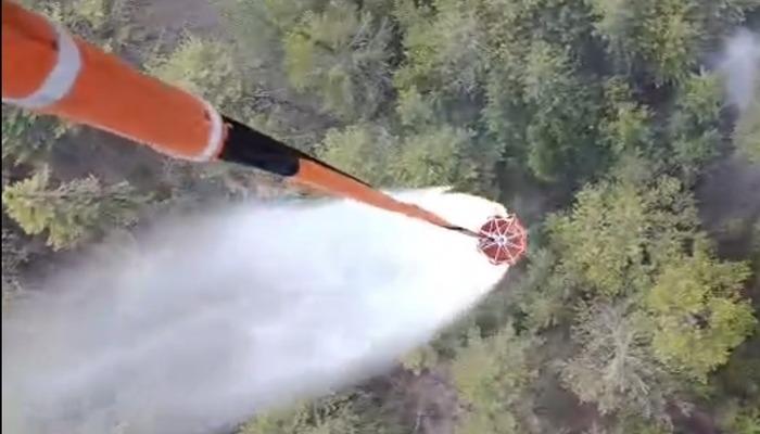 Aydın’daki orman yangını kontrol altına alındı