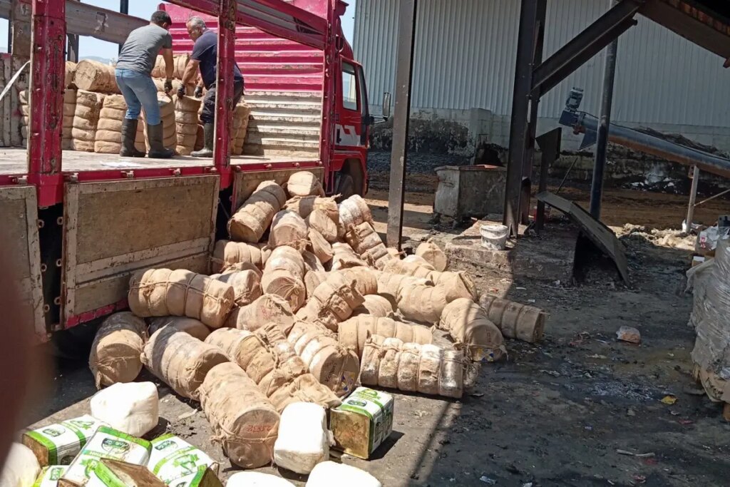 Yakalanmasalar vatandaşa yedireceklerdi! 7 ton bozulmuş peynir imha edildi