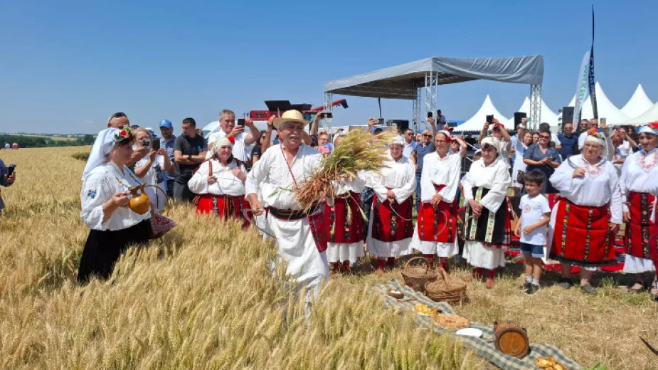Bulgaristan’da buğday hasadı başladı | TIME-BALKAN