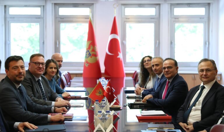 Bozay, Karadağ Dışişleri Bakanlığı Devlet Sekreteri Kastratović ile görüştü