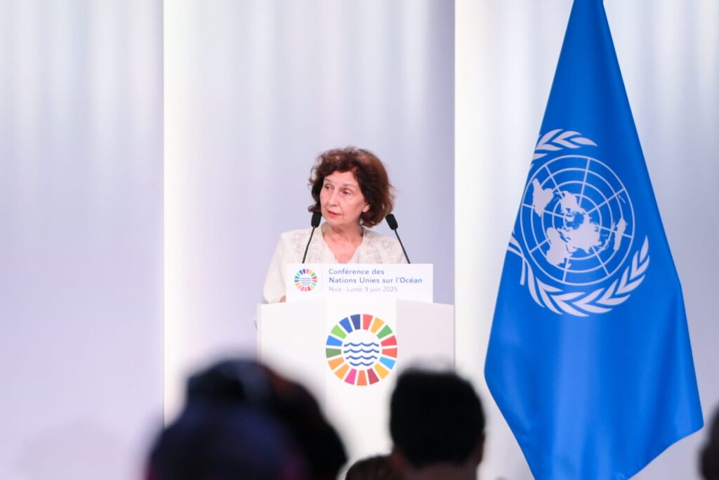 Cumhurbaşkanı Davkova: BM yalnızca uluslar arasında değil, aynı zamanda doğayla da barışı inşa etmek için var