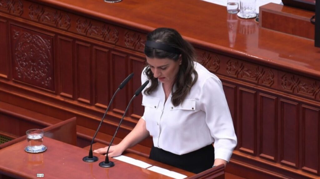 LDP’nin “Tek Seçim Birimi” girişimi başarısız oldu