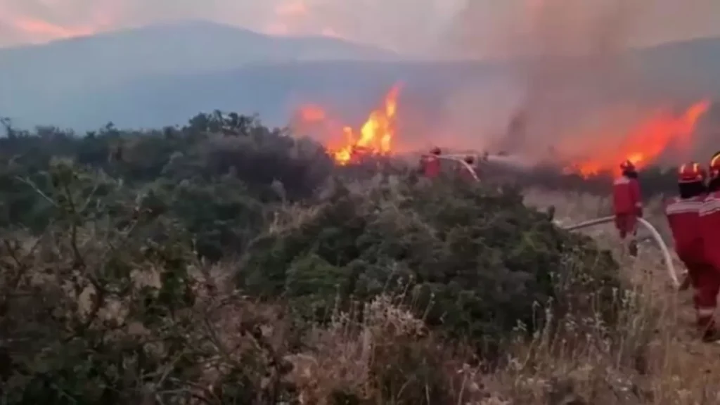 Arnavutluk ve Bulgaristan, orman yangınlarıyla mücadelede AB’den yardım istedi