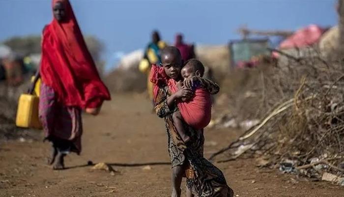 Afrika’nın en zengin 4 ismi, kıta nüfusunun yarısının servetinden fazlasına sahip