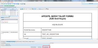 Apostilli adli sicil kaydı nereden alınır ?