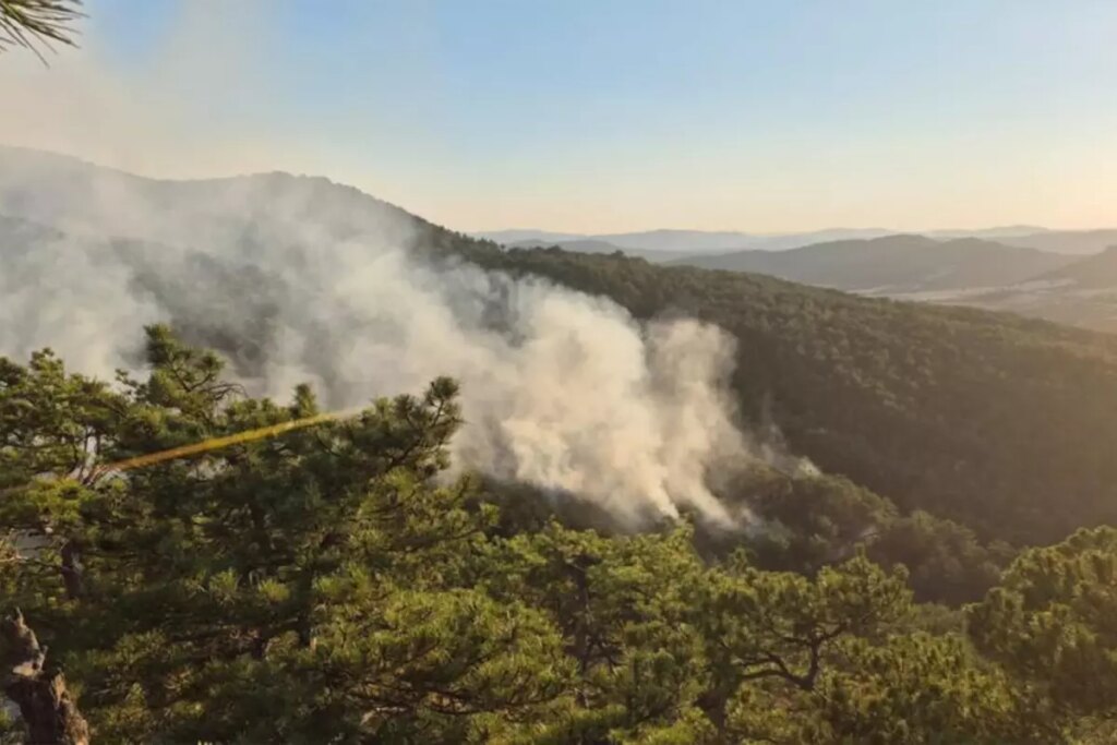 Bolu’dan korkutan orman yangını – Haberler