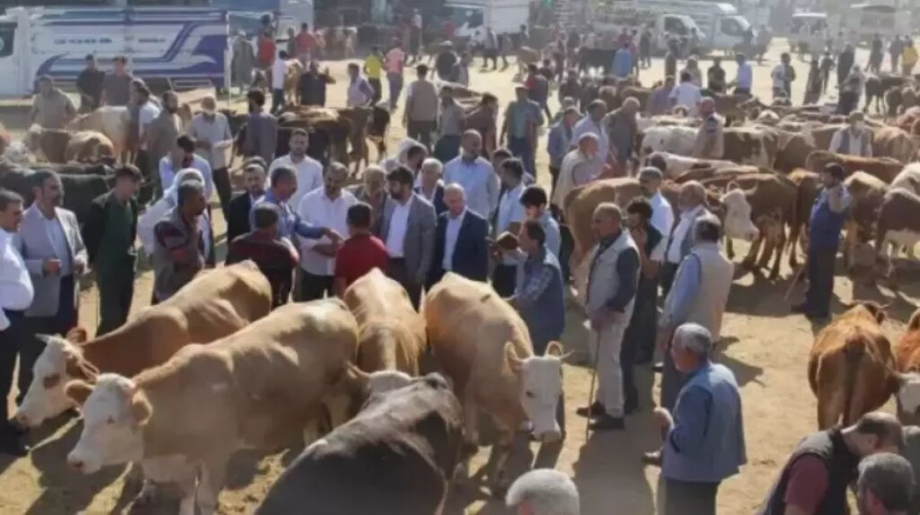 Hayvan pazarları neden kapatıldı, ne zaman açılacak?