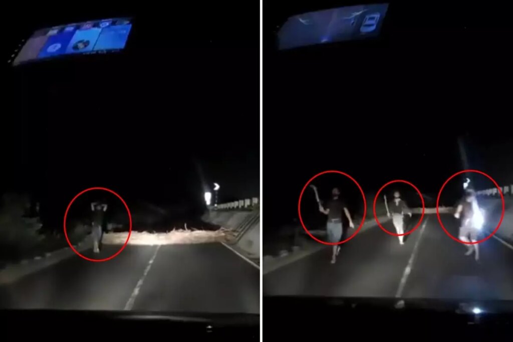 Korku filmlerini andıran görüntü! Aniden yola fırladılar, sürücü geri manevra yaparak kurtuldu