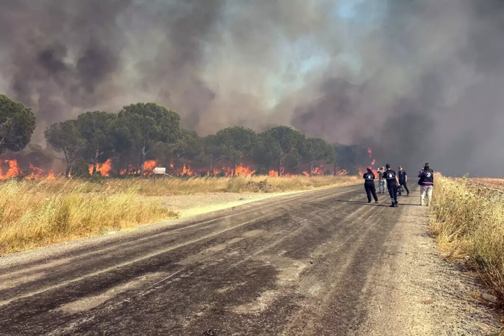 Silivri’de alevler hızla ilerliyor! 50 hane tahliye edildi