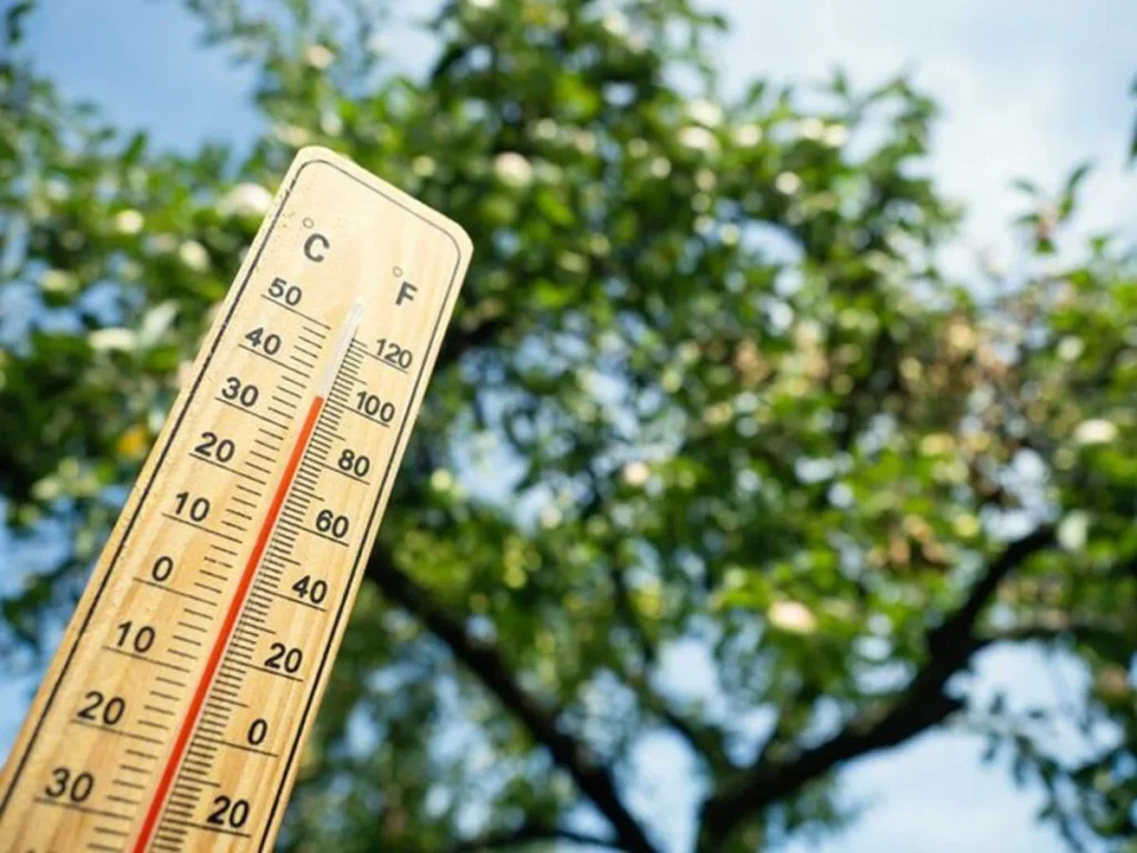 Önümüzdeki günlerde yeni bir sıcak hava dalgası geliyor