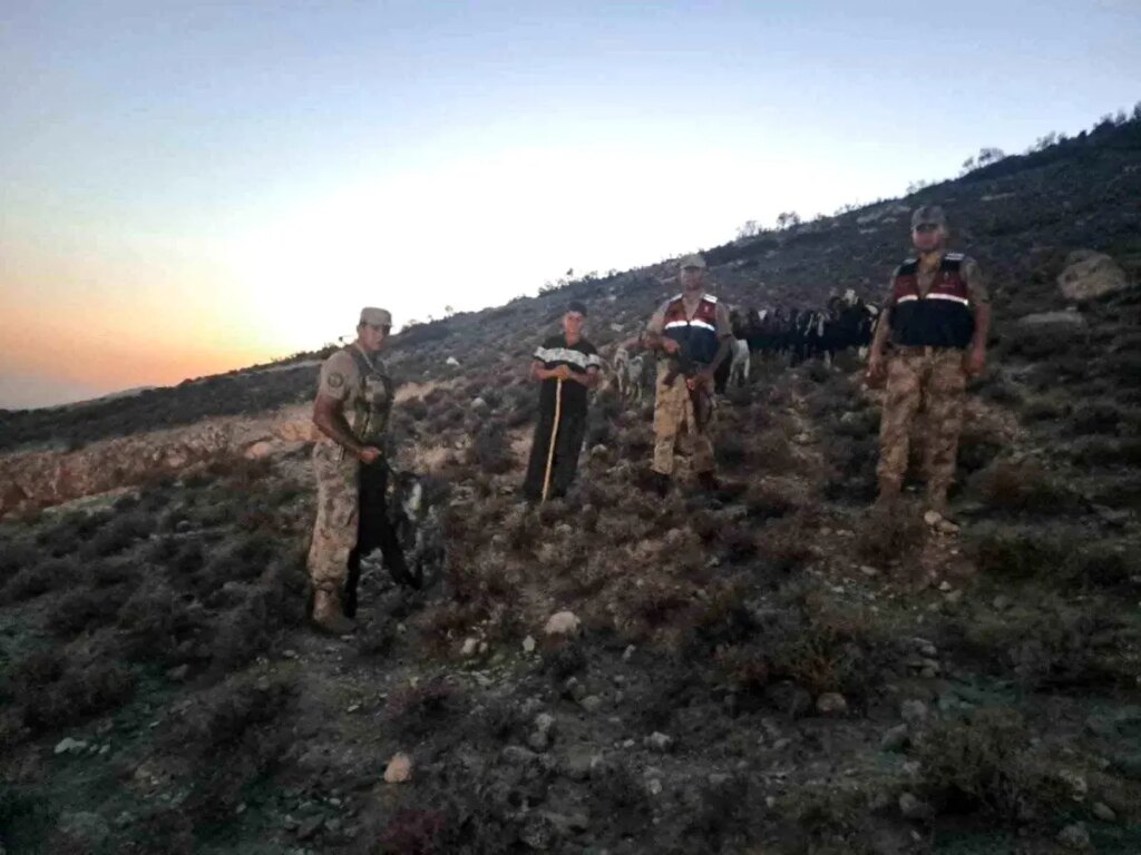 Kilis’te Kaybolan 26 Hayvan Bulundu