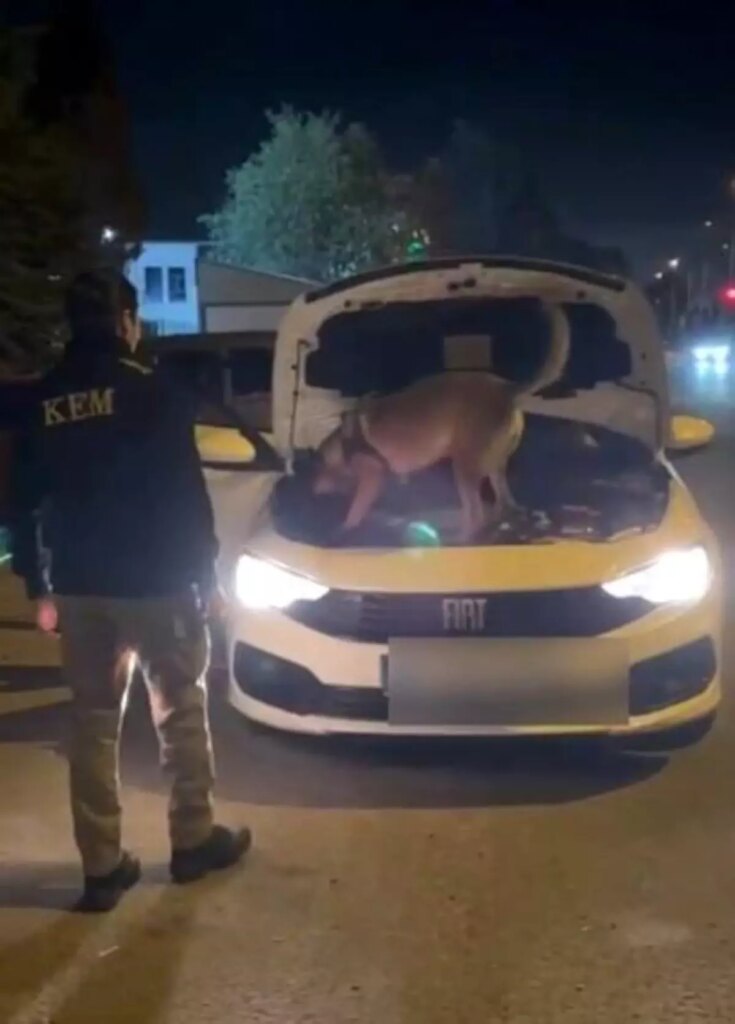 Kütahya’da 3,5 Kilogram Kokain Ele Geçirildi, 2 Şüpheli Tutuklandı