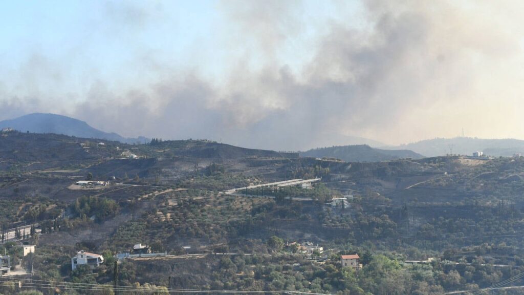 Yunanistan’da yangınlarla ilgili yasakları ihlal eden 3 kişi gözaltına alındı