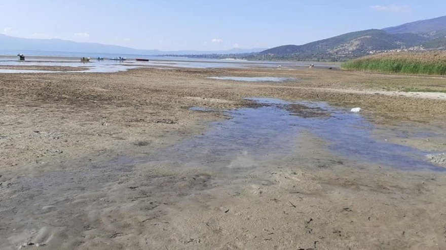 Prespa Gölü’nde rekor seviyede düşüş görüldü