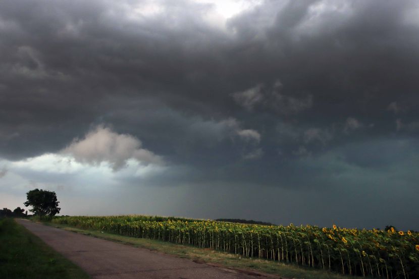Yeni yağışlar tarım için faydalı olacak