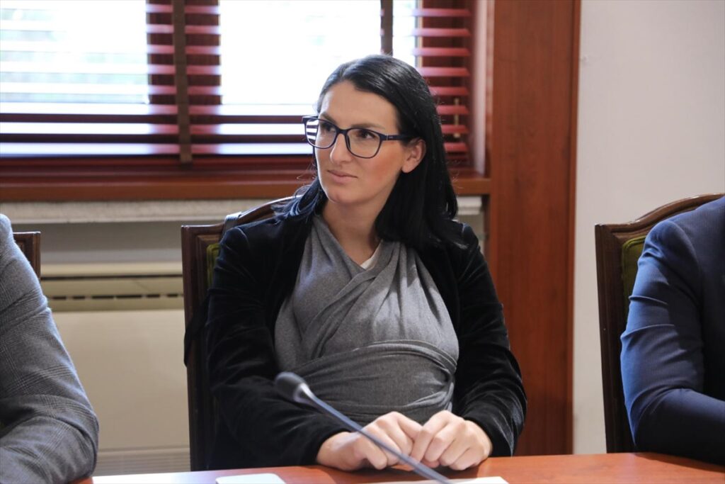 Arnavut Milletvekili Gjuzi, komisyon toplantısına bebeğiyle katıldı