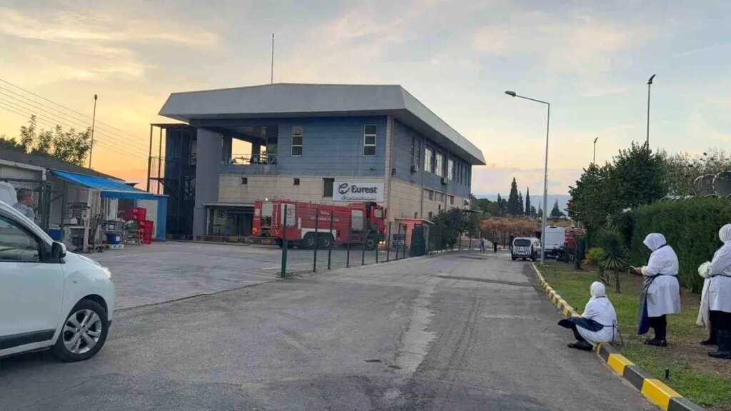 Gemlik Serbest Bölge’de Yangın Çıktı, Can Kaybı Yok