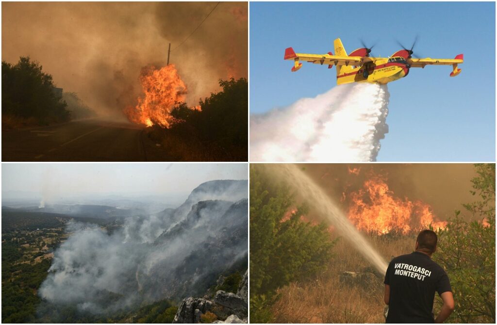 Orman Yangınları Bir Çok Ülkenin Desteğine Rağmen Devam Ediyor – Karadağ Media