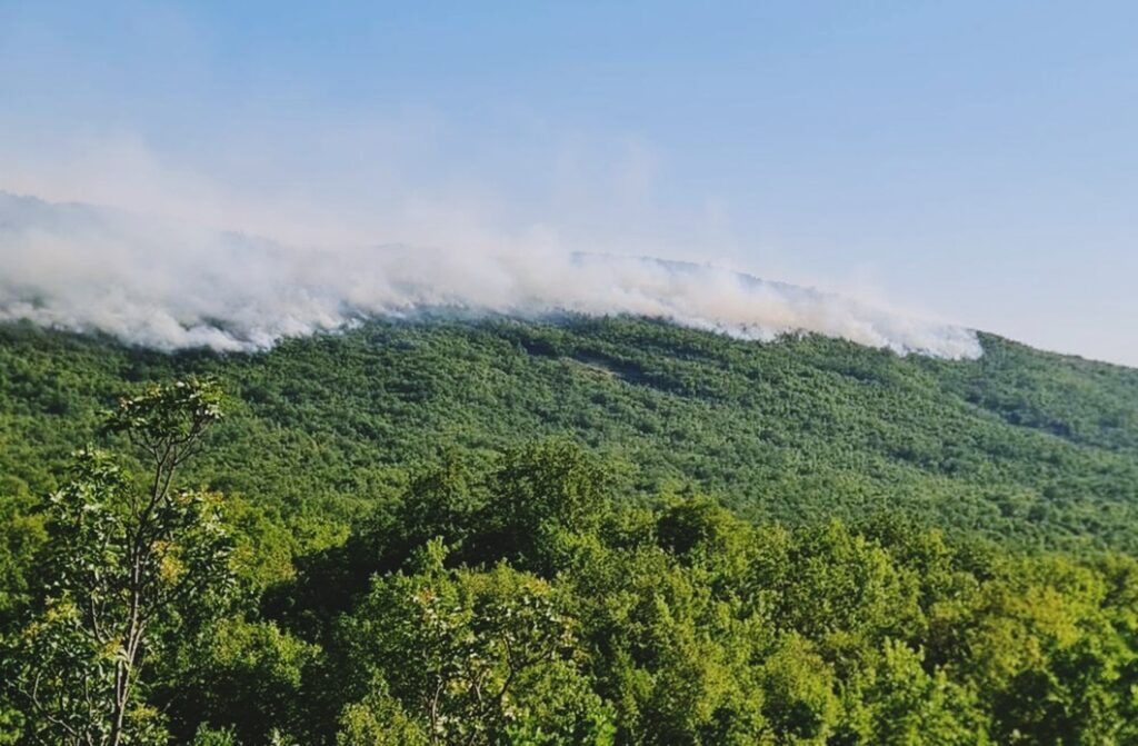 Bu Yıl AB Genelinde 511 Bin Hektardan Fazla Alan Yandı – Karadağ Media