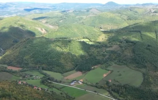 Kosova ormanlarına 3 yılda 5,3 milyon euro zarar