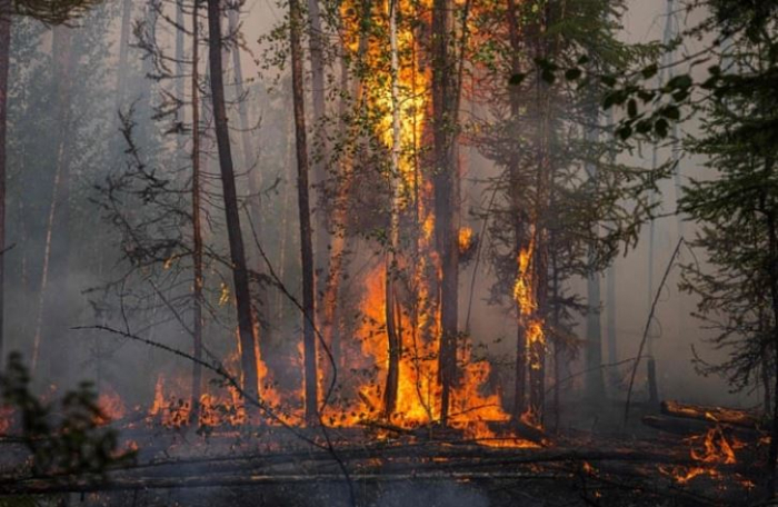 Makedonya’da Açık Alanda 30 Yangın: 3’ü Hâlâ Aktif