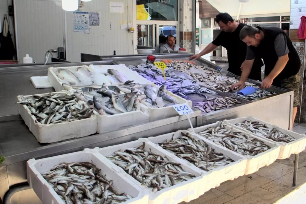 Sinop’ta balıkçılar denizden umduğunu bulamadı