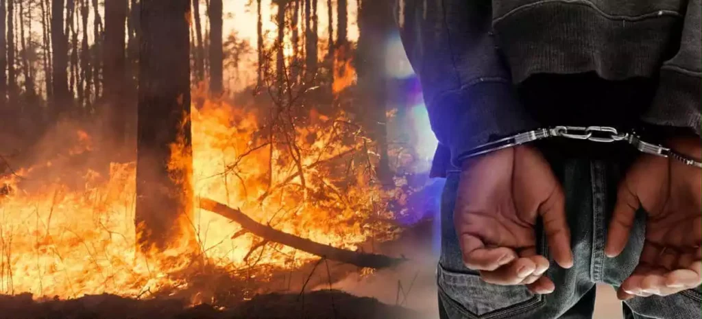 Makedonya’da altı ayda 2 bin 12 yangın çıktı, kundakçılıktan 56 kişi tutuklandı