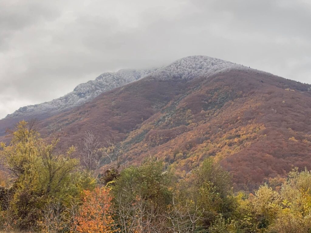 “Şar Dağı” ve “Pelister” Milli Parklarına Hükümetten Destek