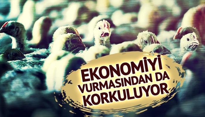 Ekonomiyi kötü etkilemesinden korkuluyor! Avrupa’da yeni salgın alarmı: Vakaların patladığı iki ülke harekete geçti