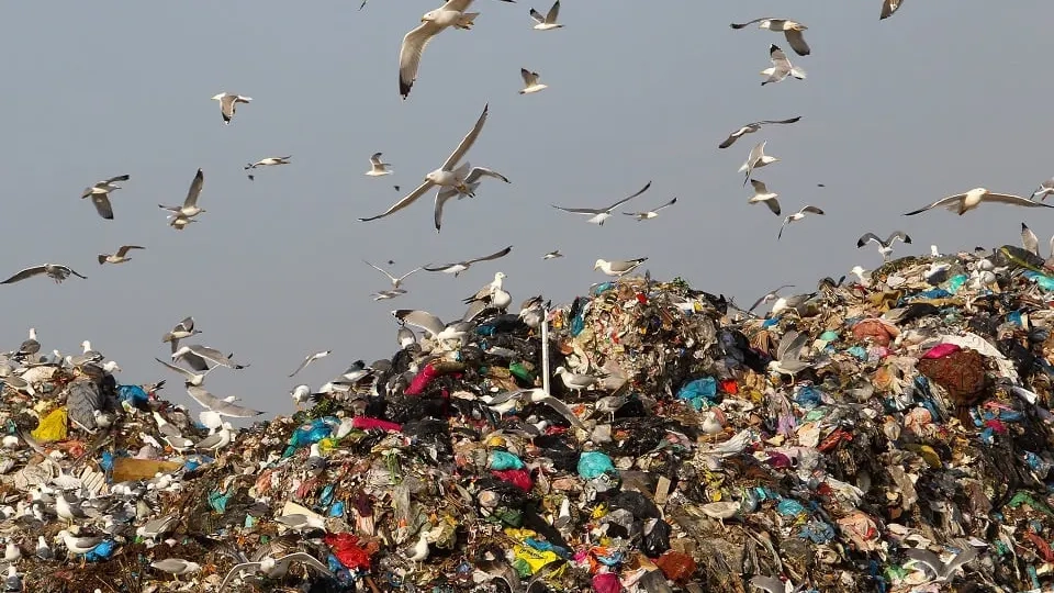 Avrupa Birliği’nden Yunanistan’a 5,5 milyon euro ceza