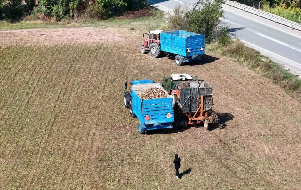 Erzincan’da Şeker Pancarı Hasadı Başladı, Çiftçiler Fiyatlardan Şikayetçi