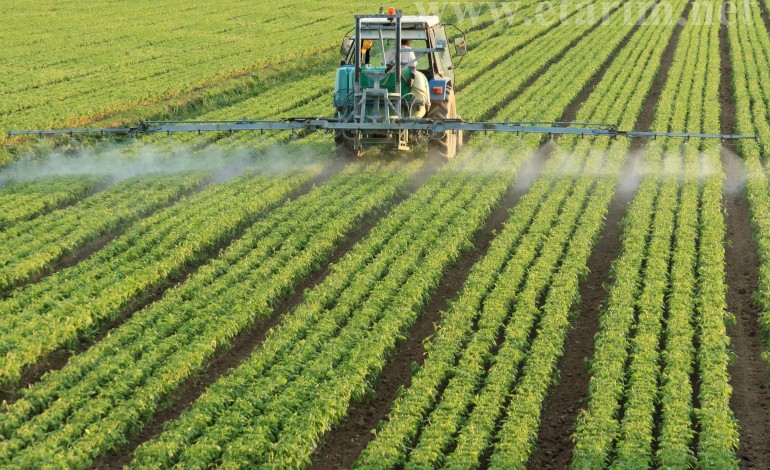 Bulgaristan, AB Tarım Fonlarının Korunmasını Talep Etti