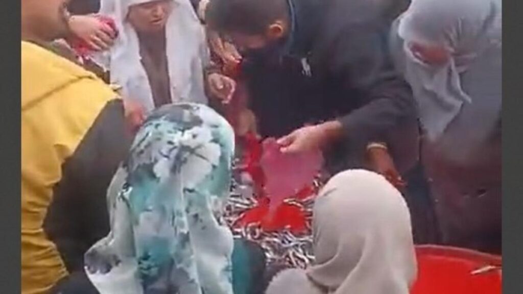 Ücretsiz hamsi dağıtımı yoğun ilgi gördü