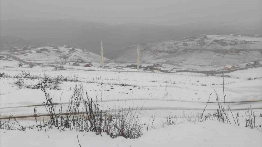 Gümüşhane’nin yüksek kesimleri beyaza büründü