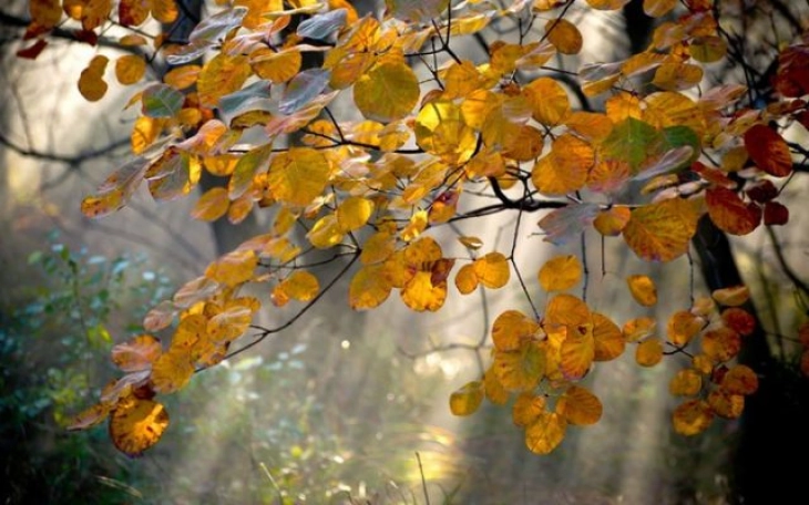 Ülkede Sabah Saatlerinde Düşük Sıcaklıklar Ölçüldü