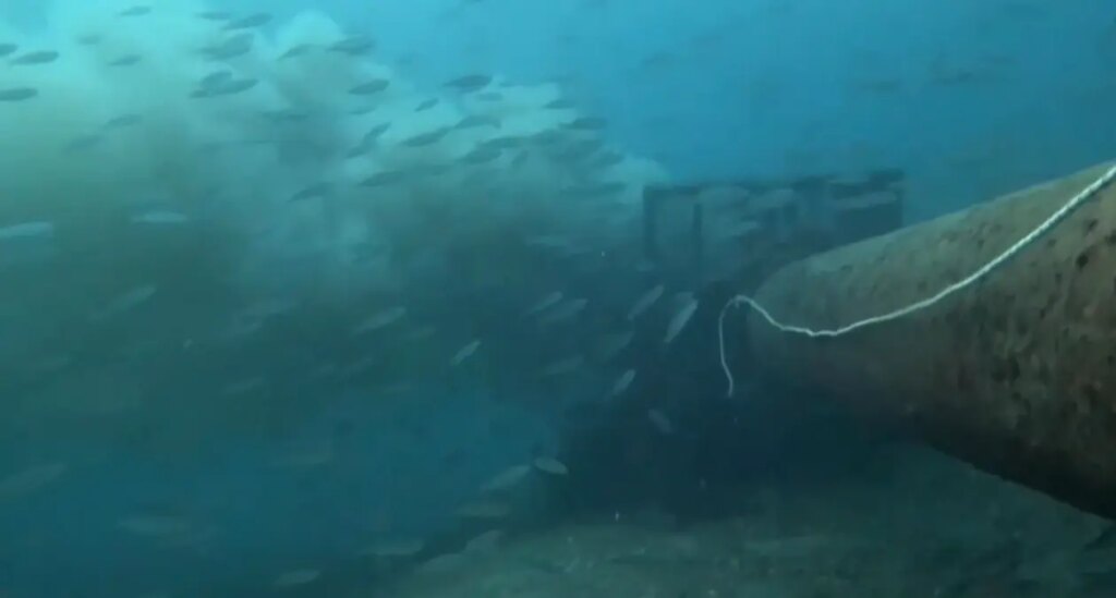 Çanakkale Boğazı’nda Dalgıç Pis Su Akıntısını Kaydetti