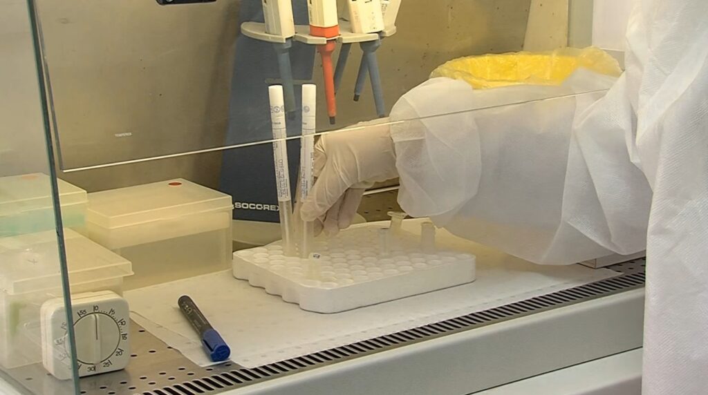 Makedonya’da grip vakaları artıyor: En fazla vaka Gostivar’da görüldü