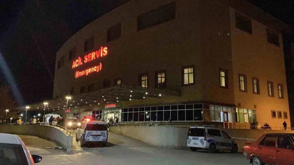 Çorum’da Hayvan Otlatma Kavgası Kanlı Bitti: İki Kişi Hayatını Kaybetti