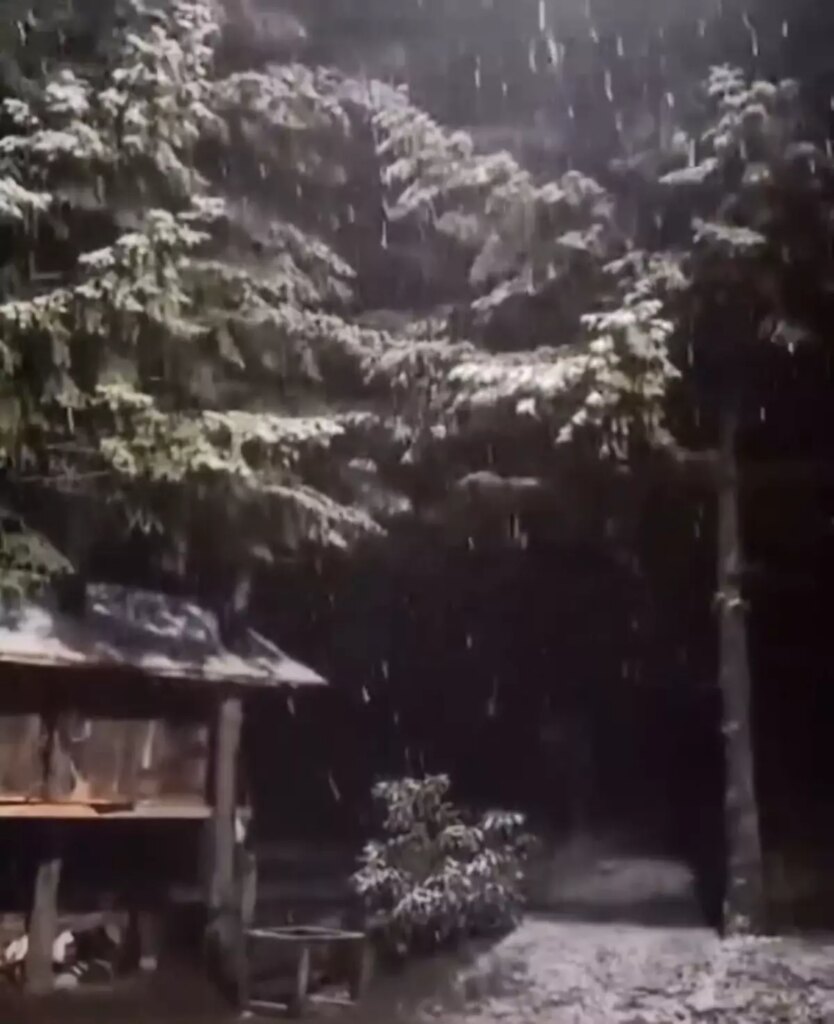 Kartepe’de Mevsimin İlk Karı Yağdı