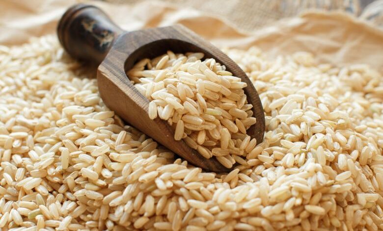 Makedonya’da Pirinç Krizi: Üreticiler Fiyat Düşüşlerinden Şikâyetçi