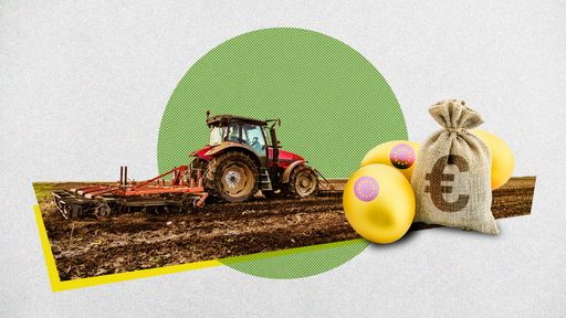 AB’nin tarım sübvansiyonları yolsuzluğun altın yumurtlayan tavuğu mu?