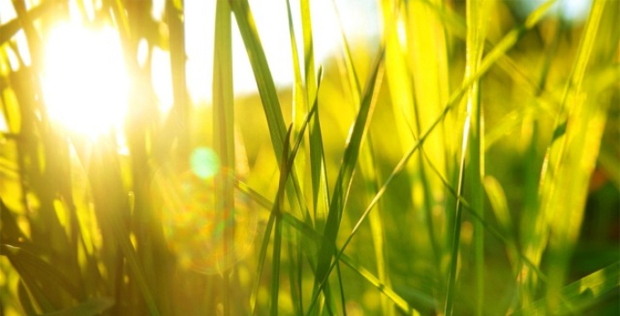 Bugün Hava Güneşli, Yer Yer Hafif Bulutlu