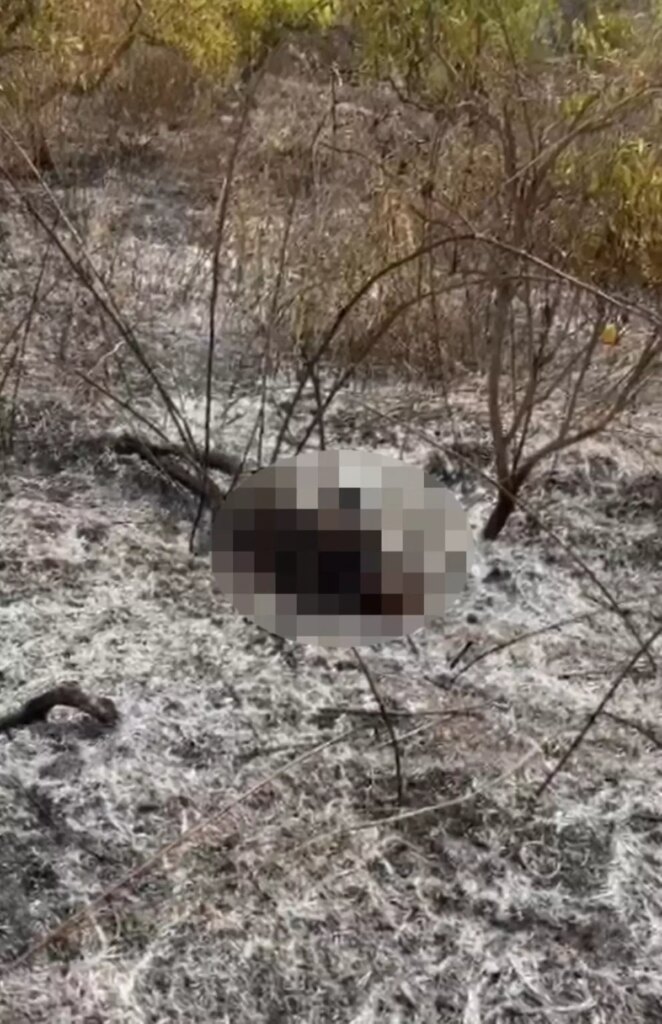 Mersin’de Bahçede Yangın: 70 Yaşındaki Adam Hayatını Kaybetti