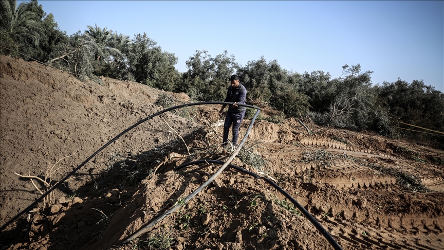 BM: İsrail saldırıları sonucu Gazze’de tarım altyapısının yüzde 89’u hasar gördü