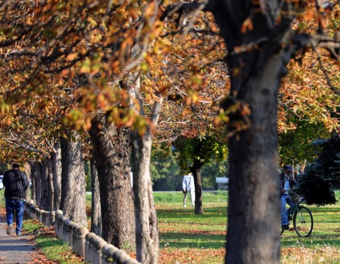 Bugünkü Hava Durumu: Soğuk Sabah, Güneşli ve Sakin Gün